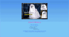 Desktop Screenshot of jinsvil.com