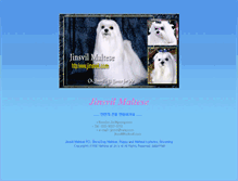 Tablet Screenshot of jinsvil.com